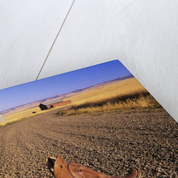 Cowboy Boots on Gravel Road by Anonymous