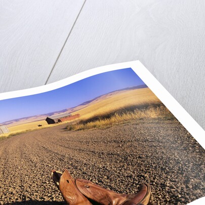 Cowboy Boots on Gravel Road by Anonymous
