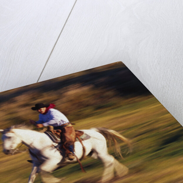 Cowboy Horseback Riding at Ponderosa Ranch by Anonymous