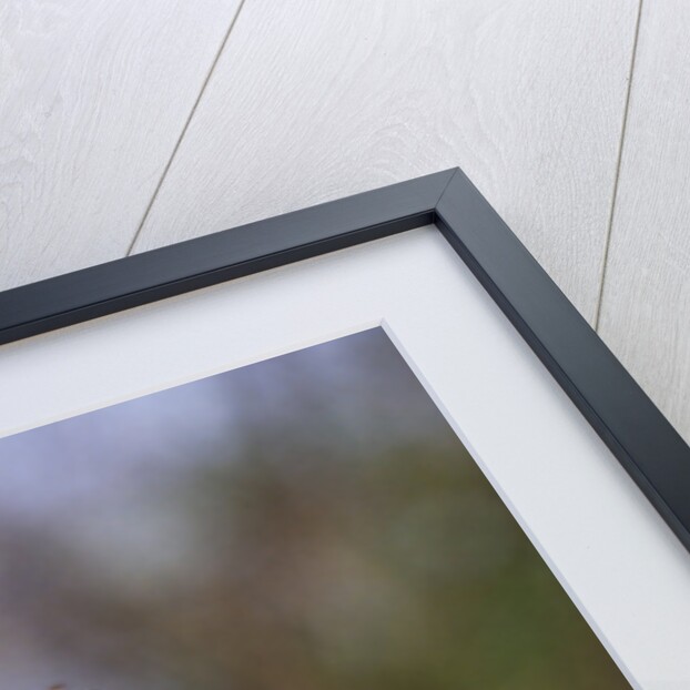 Saw-Whet Owl on Crab Apple Bloom by Anonymous