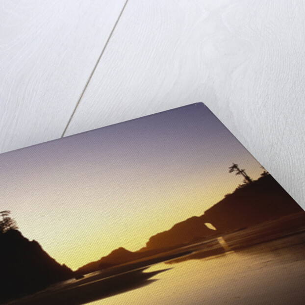 Second Beach in Olympic National Park by Anonymous