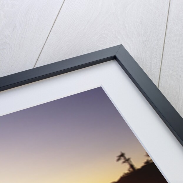 Second Beach in Olympic National Park by Anonymous