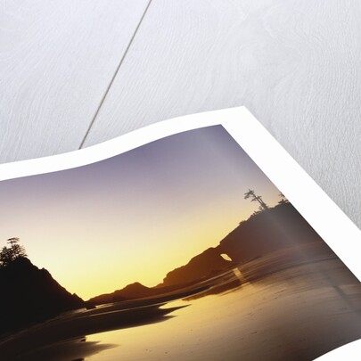 Second Beach in Olympic National Park by Anonymous