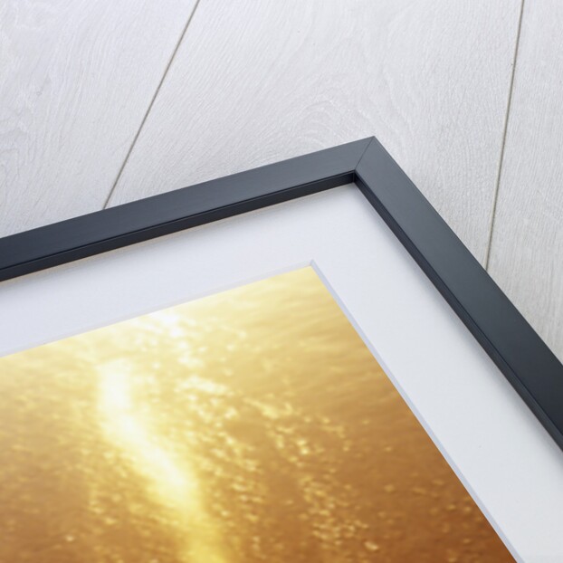 Starfish on Maui Beach by Anonymous