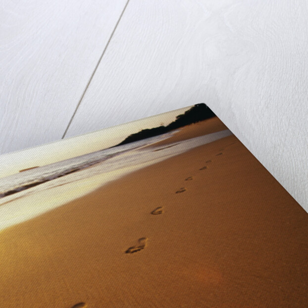 Footprints on Makena Beach by Anonymous