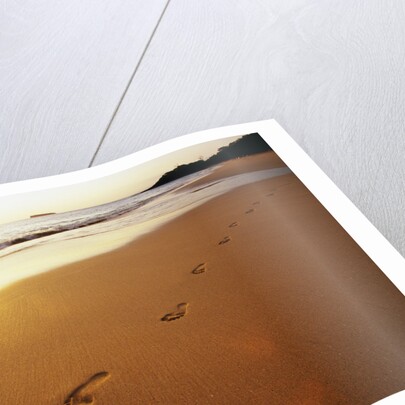 Footprints on Makena Beach by Anonymous