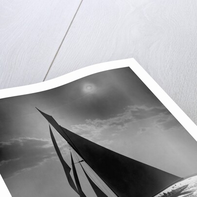The Vanitie During the America's Cup by Anonymous