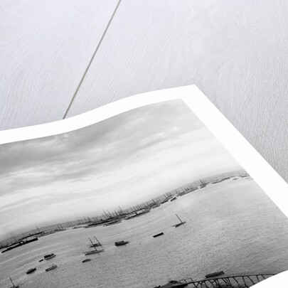 Sailboats Moored in Glen Cove by Anonymous