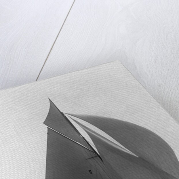 The Vanitie by Anonymous