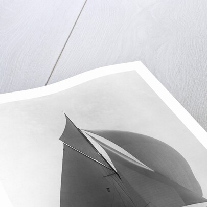 The Vanitie by Anonymous