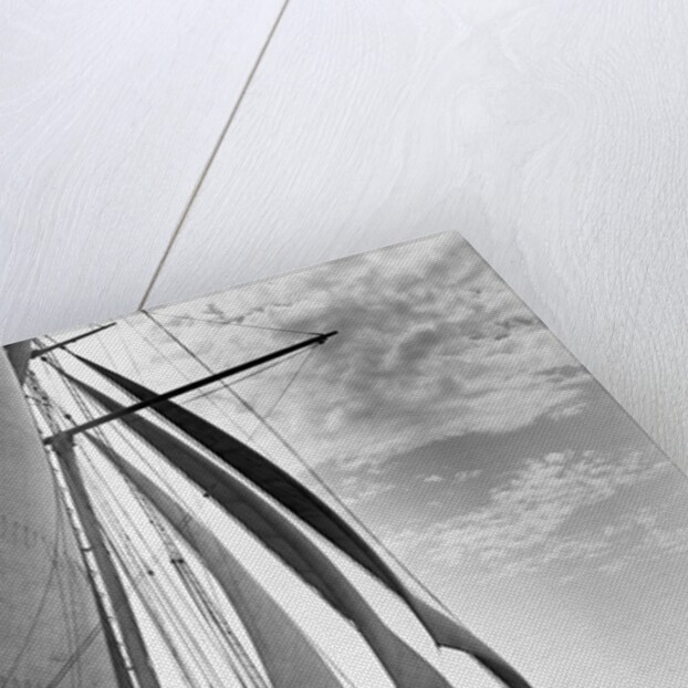 The Guinevere at Sail by Anonymous