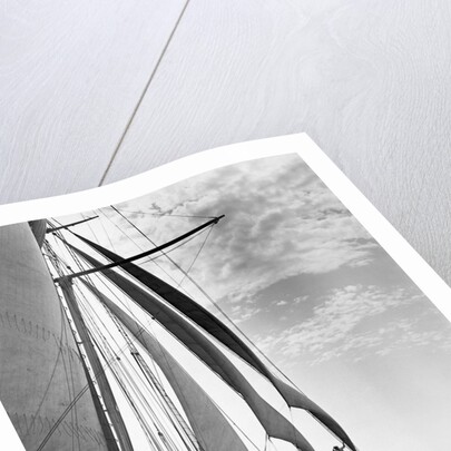 The Guinevere at Sail by Anonymous