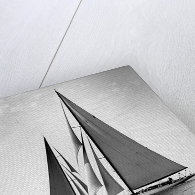 Vanitie and the Resolute by Anonymous