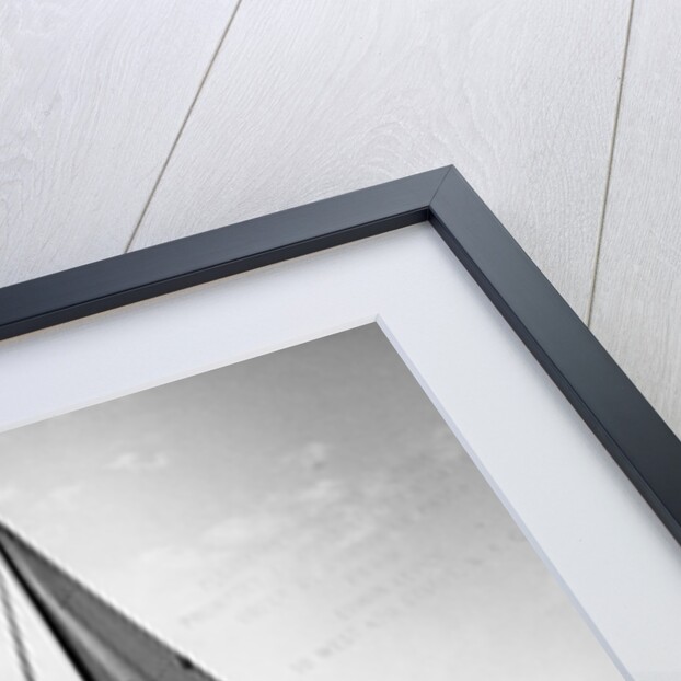 Vanitie and the Resolute by Anonymous