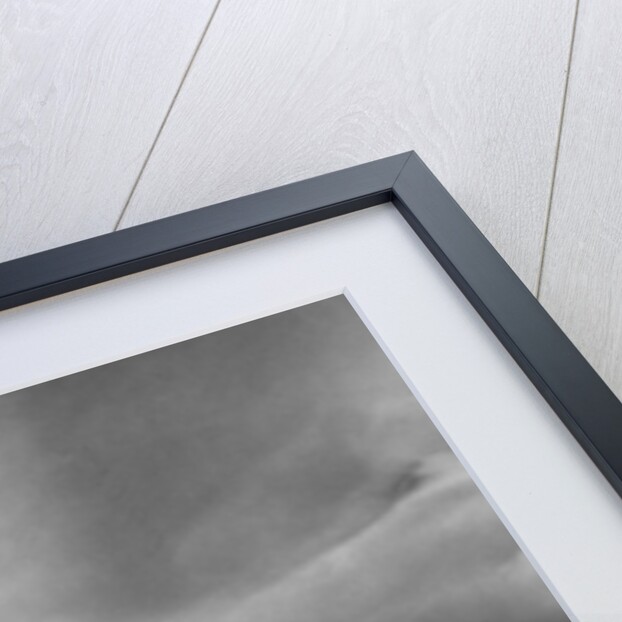 The Queen Mab by Anonymous