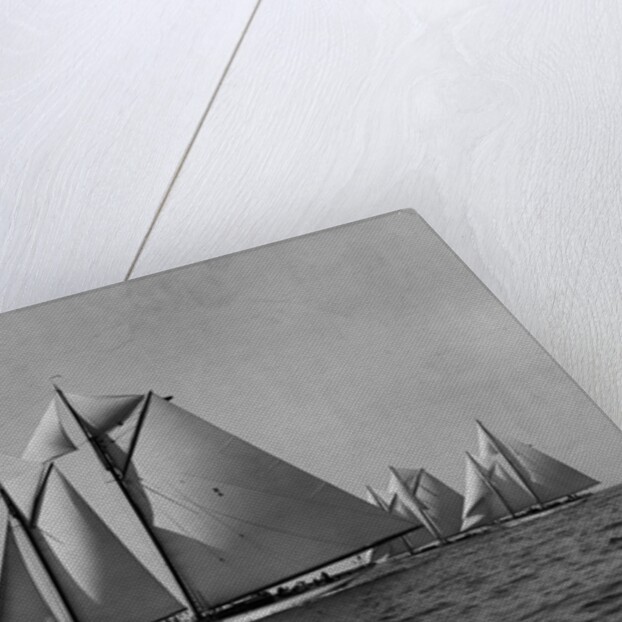 Full-Sailed Yachts in a Schooner Race by Anonymous