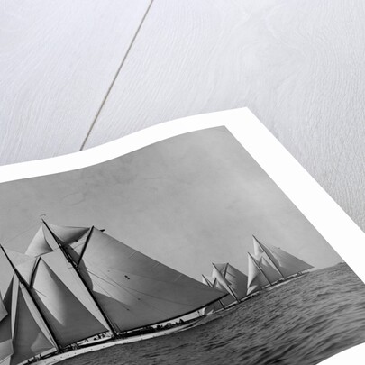 Full-Sailed Yachts in a Schooner Race by Anonymous