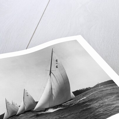 Yachts Participate in a Six Meter Race by Anonymous