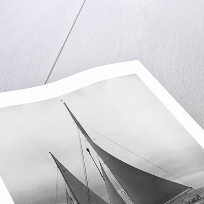 Two Sailboats at the Start of the America's Cup by Anonymous