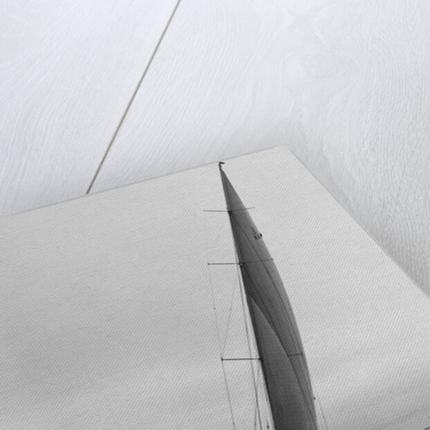 Sailboat Racing in the America's Cup by Anonymous