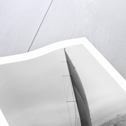 Sailboat Racing in the America's Cup by Anonymous