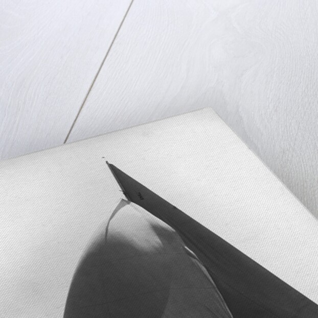 Sailboat at Full Sail by Anonymous