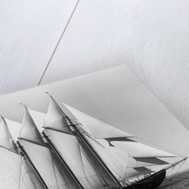 Dauntless Power Yacht in America's Cup Race by Anonymous
