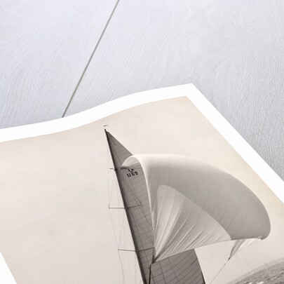 Seven Seas Yacht by Anonymous