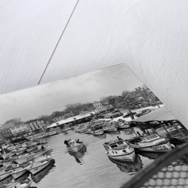 Oyster Boats in a Marina by Anonymous