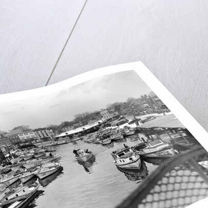 Oyster Boats in a Marina by Anonymous