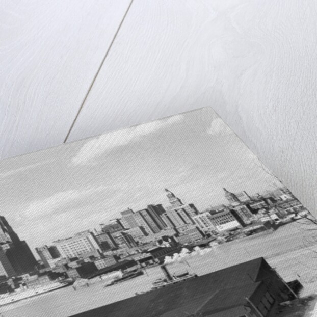 Baltimore Skyline from Federal Hill by Anonymous