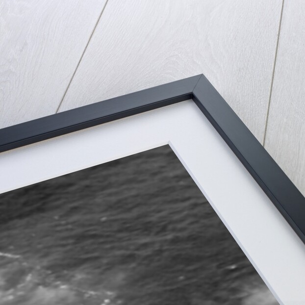 Remains of the Andrea Doria by Anonymous