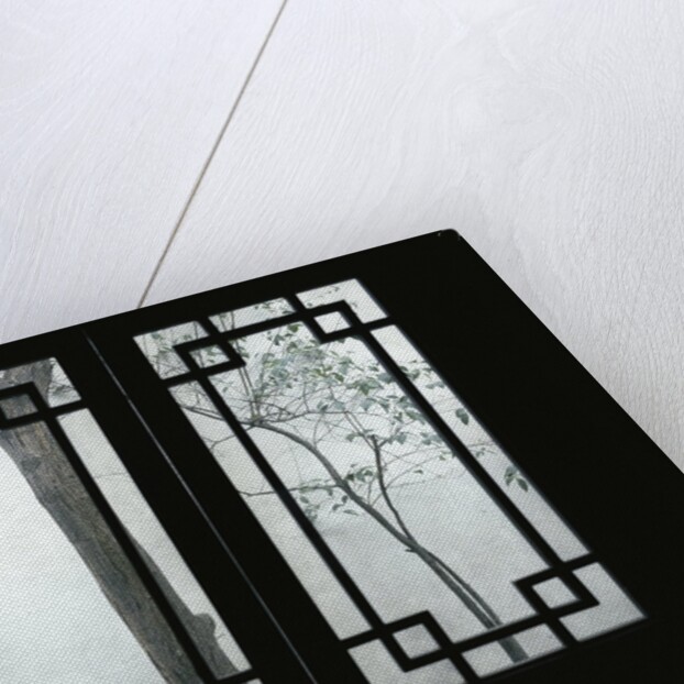 Trees Seen Through House Windows in Pingyao by Anonymous