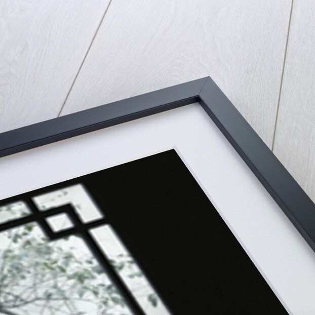 Trees Seen Through House Windows in Pingyao by Anonymous