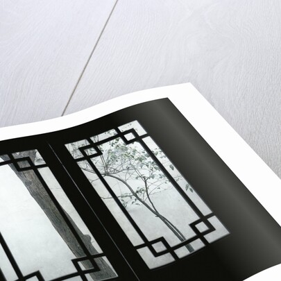 Trees Seen Through House Windows in Pingyao by Anonymous