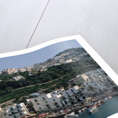 Capri Harbor by Anonymous