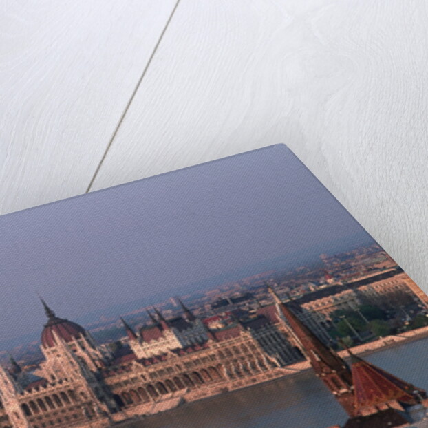 Danube in Budapest by Anonymous