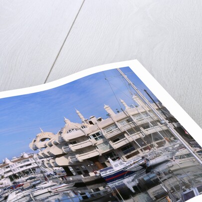 Marbella Marina by Anonymous
