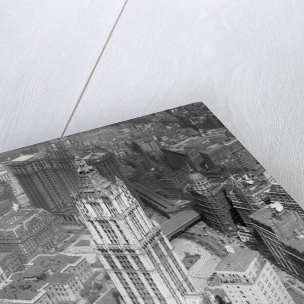 Woolworth Building and City Hall District by Anonymous