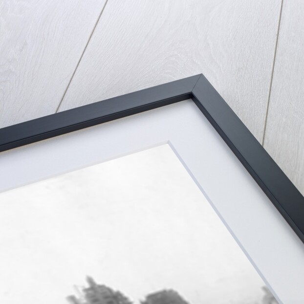 San Francisco Earthquake Rubble by Anonymous