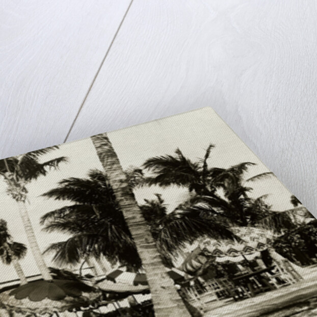 Umbrella Covered Tables Under Palm Trees by Anonymous