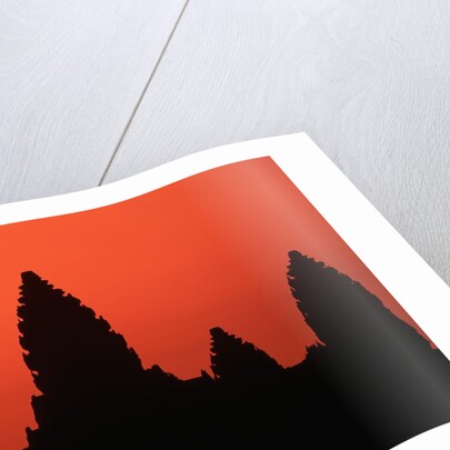 Angkor Wat at Sunrise by Anonymous