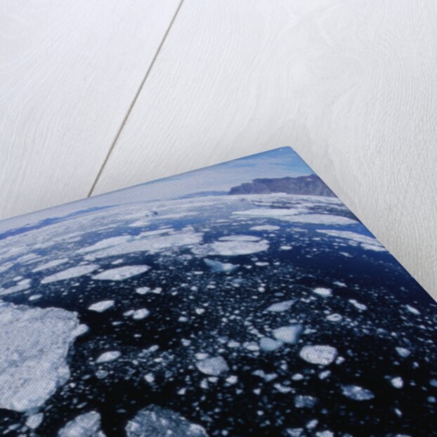 Ice in Nansen Fjord by Anonymous