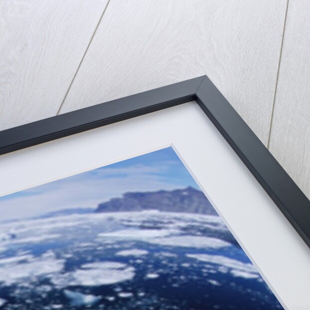 Ice in Nansen Fjord by Anonymous