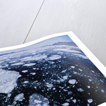 Ice in Nansen Fjord by Anonymous