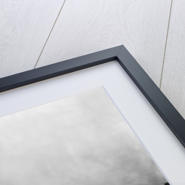 Industrial Smog Polluting Sheffield by Anonymous