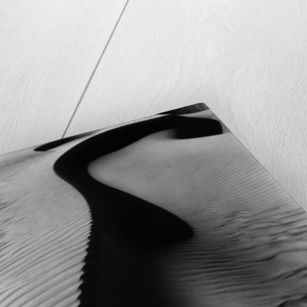 Dune, Oceano by Brett Weston