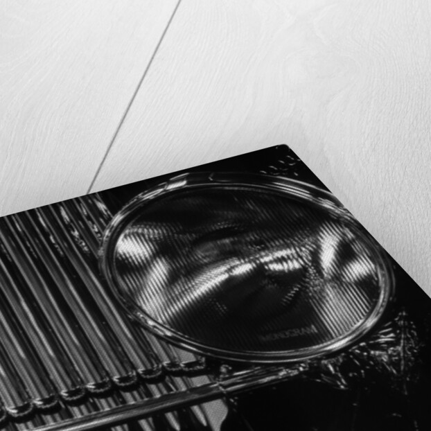 Vintage Automobile Headlight and Grill by Anonymous