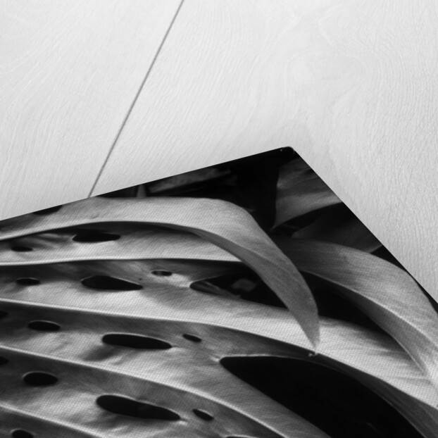 Leaf Composition by Anonymous