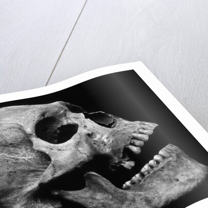 Human Skull by Brett Weston